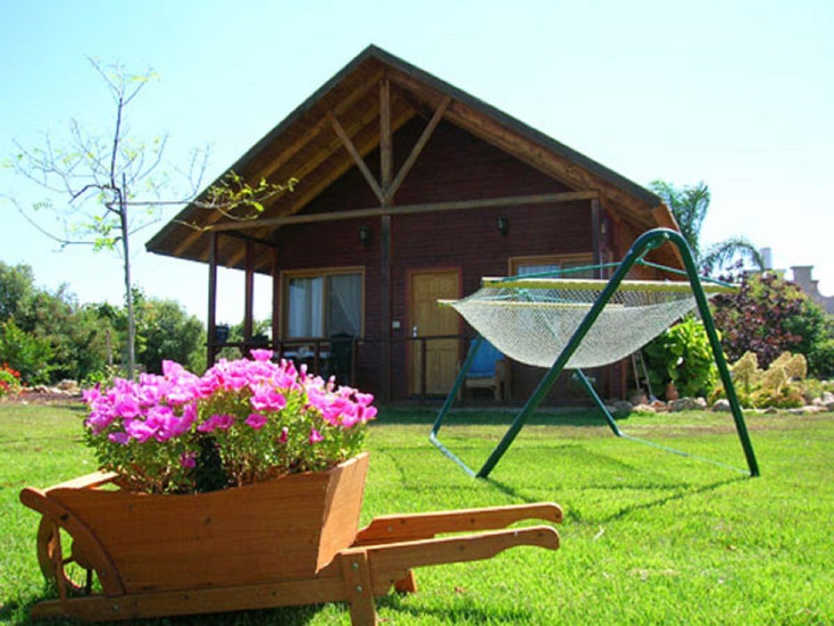 Tal Nof Cabins Villa Manot Rum bild