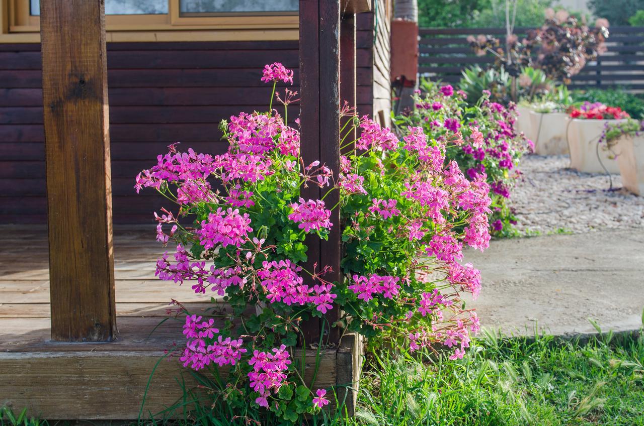 Tal Nof Cabins Villa Manot Exteriör bild